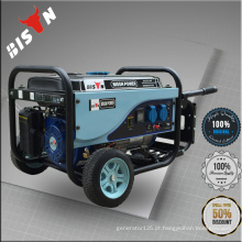 BISON (CHINA) Preço competitivo Hot Sale 6.5HP Gasolina Gerador Set